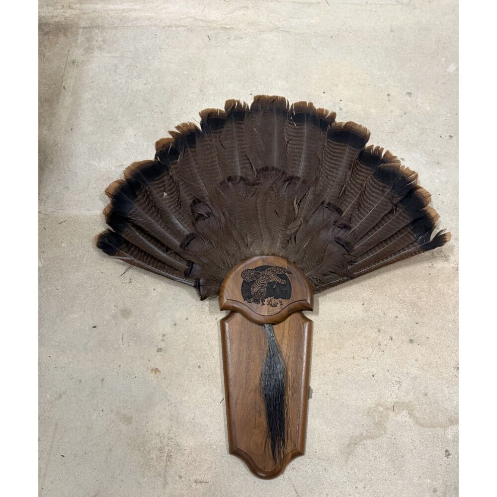 Hunting Mount Wild Turkey Hunt Trophy Tail Beard Mount 29” Wood Plaque Panel Tax - Picture 10 of 12